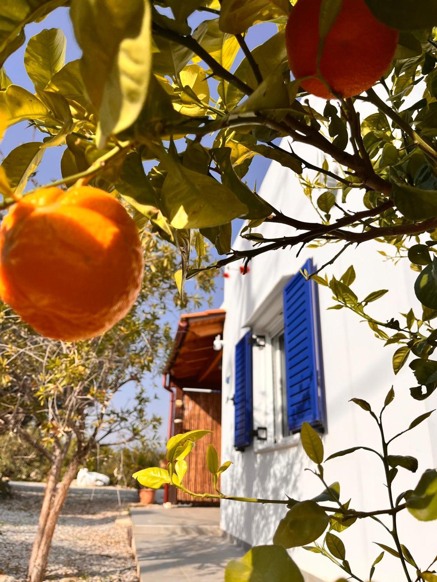 Villa Francesca Agia Galini Eksteriør billede